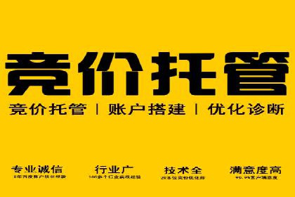 某旅游网站SEM优化案例：如何吸引目标用户